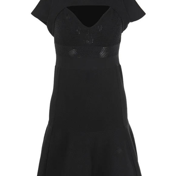 Valentino Garavani Black Fit and Flare Mini Dress - Picture 5 of 5